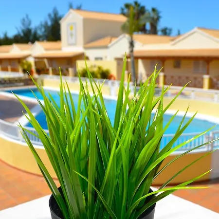 Golf Apartment Playa de las Americas (Tenerife)